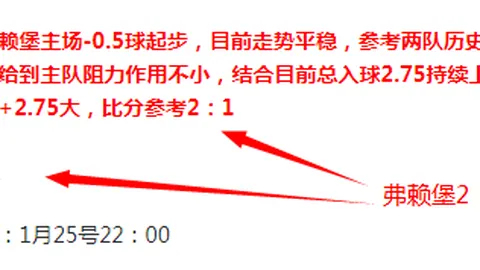 机场扩建惊现4000余古墓，拟建机场博物馆展古韵！